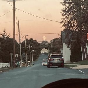 Meet your Posher, Mackenzie